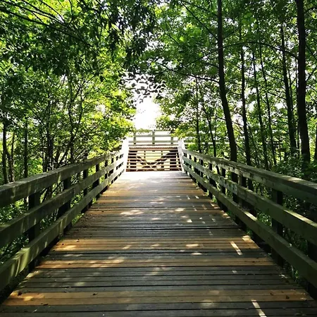 Apartament Sielanka Wydmy I *