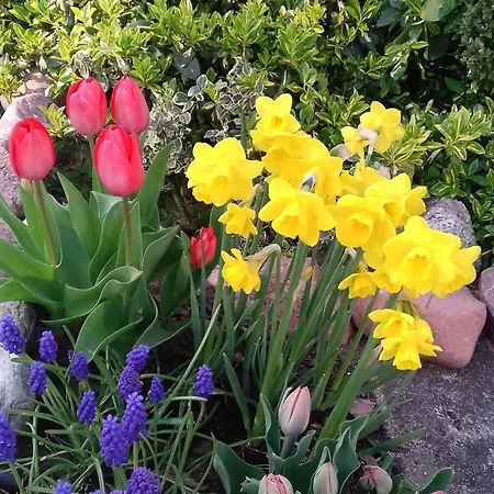 Sielanka Wydmy I Appartamento Smoldzinski Las