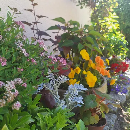Sielanka Wydmy I Apartamento