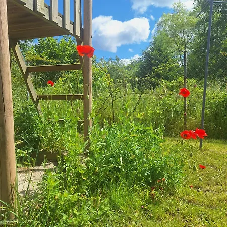 Sielanka Wydmy I * Smoldzinski Las