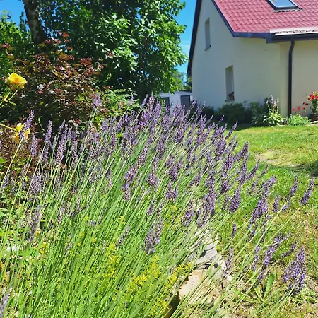 Apartament Sielanka Wydmy I