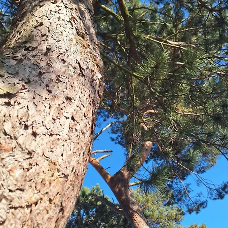 Appartamento Sielanka Wydmy I *