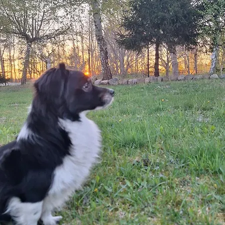 Sielanka Wydmy I Smoldzinski Las