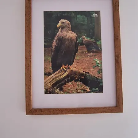 Apartament Sielanka Wydmy I *