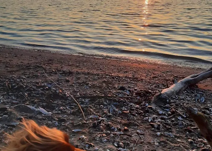 Sielanka Wydmy I * Smoldzinski Las