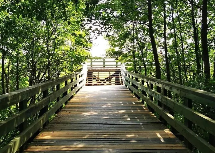 Appartement Sielanka Wydmy I *