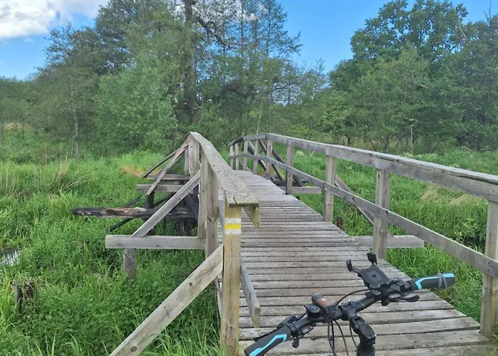 Sielanka Wydmy I Smoldzinski Las