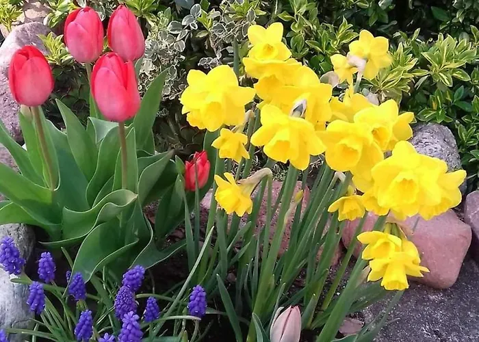 Sielanka Wydmy I Apartment Smoldzinski Las