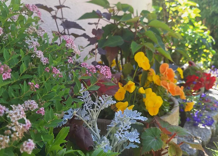 Sielanka Wydmy I Appartement