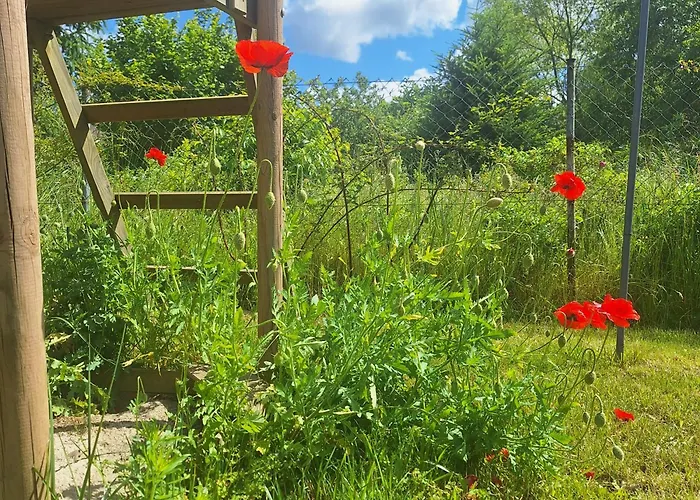 Sielanka Wydmy I * Smoldzinski Las