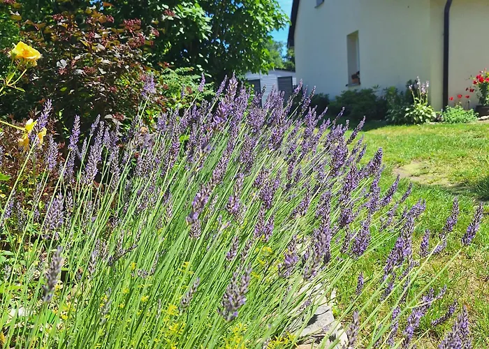 Appartement Sielanka Wydmy I