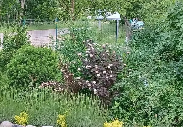 Apartment Sielanka Wydmy I