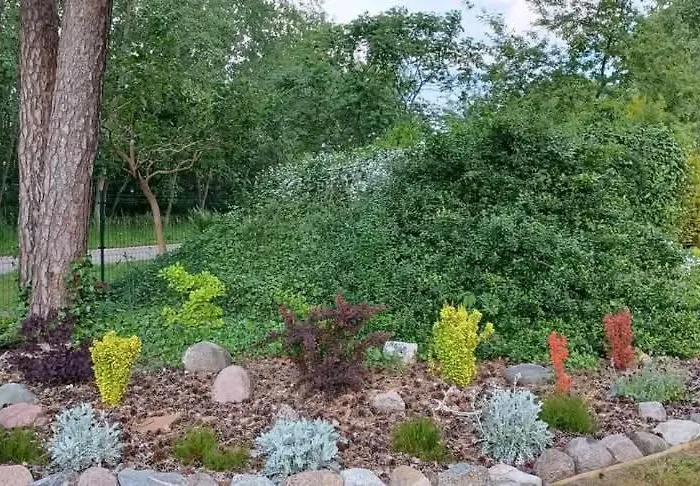 Apartment Sielanka Wydmy I