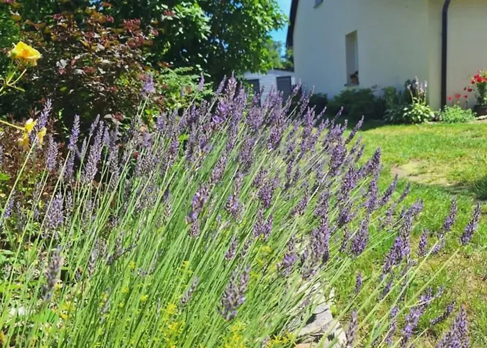 Appartement Sielanka Wydmy I *