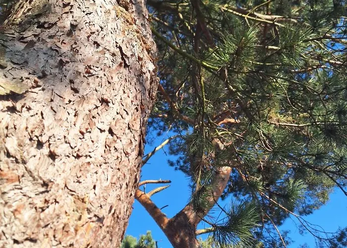 Appartement Sielanka Wydmy I *