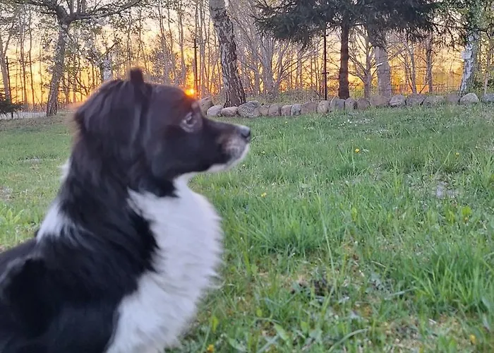 Sielanka Wydmy I Smoldzinski Las