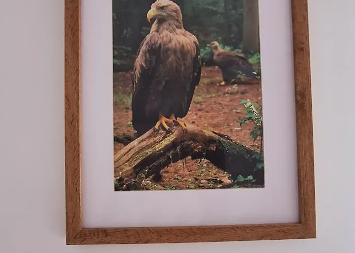 Appartement Sielanka Wydmy I *